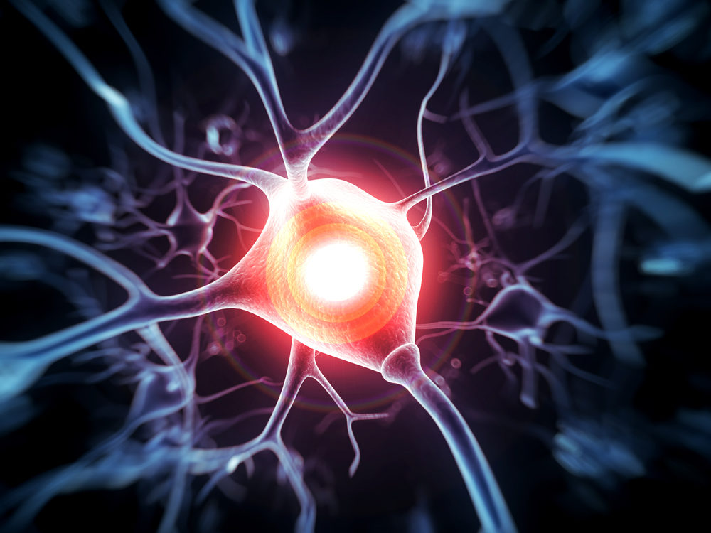 Neuron Cell