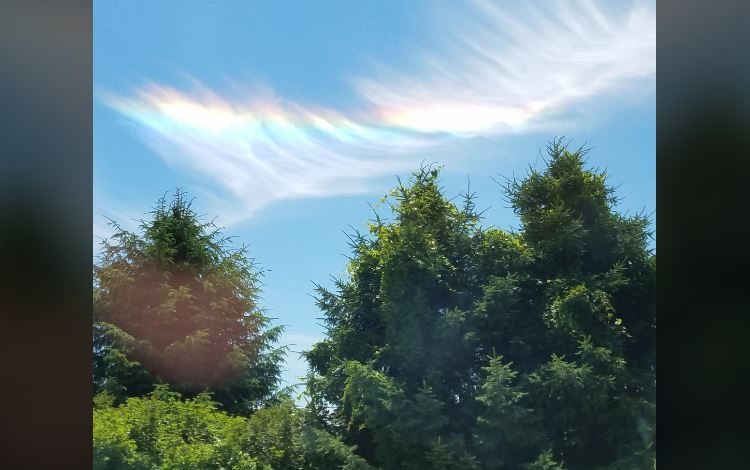 Circumhorizontal arc over VA