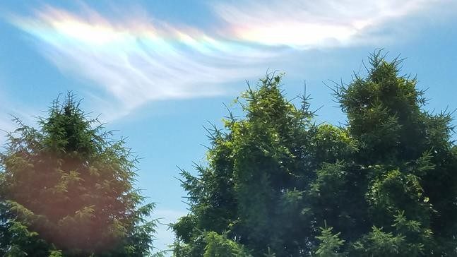 Circumhorizontal arc over VA