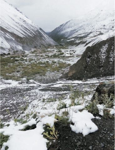 Click to enlarge snow