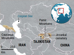 Click to enlarge cannabis Caucasus
