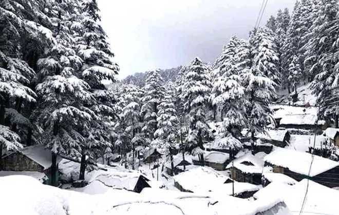 Snow cover up by 25.16% in river basins