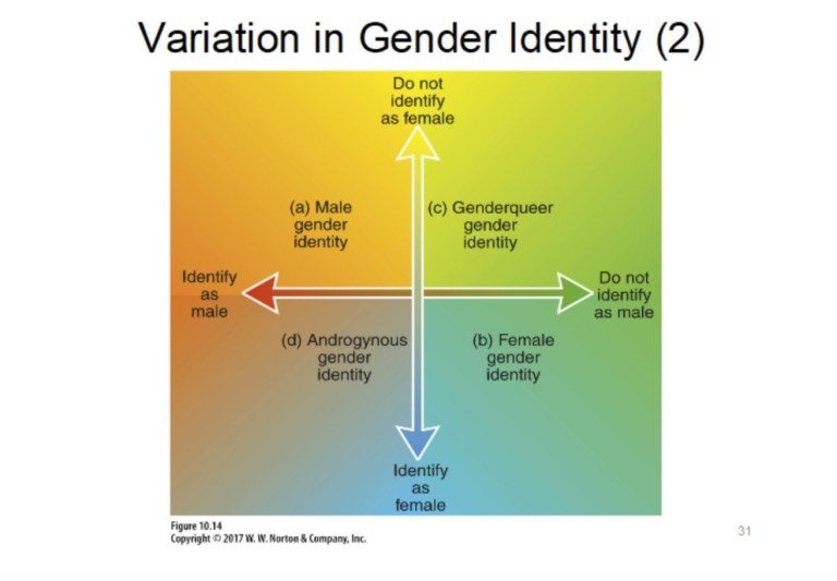 Click to enlarge gender identity