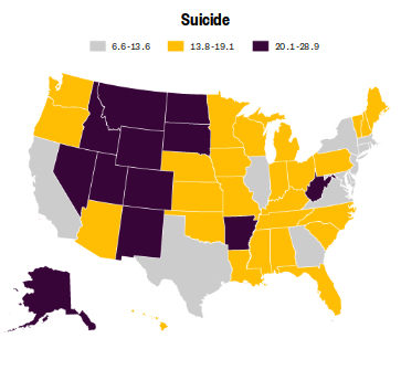 suicide us