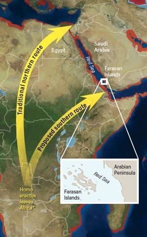 out of africa theory