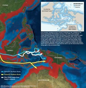 Click to enlarge australia migration human