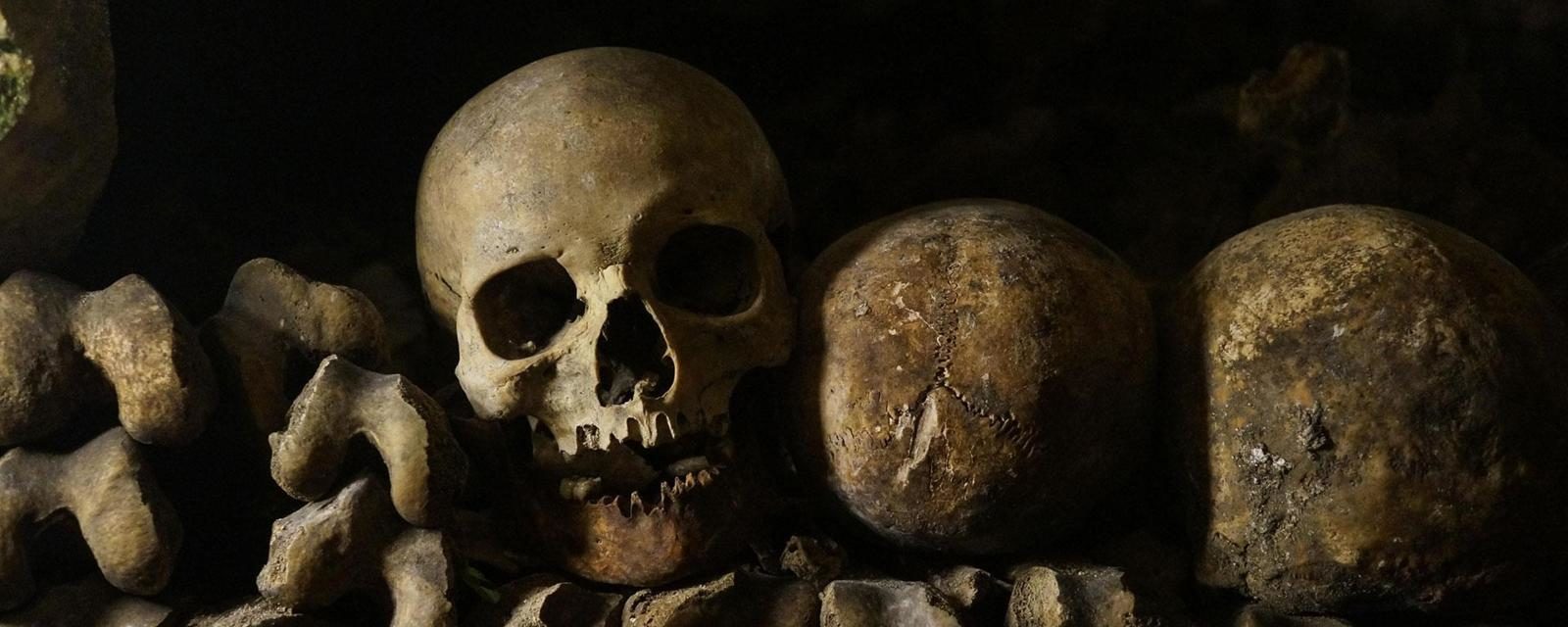 Click to enlarge skulls crypt
