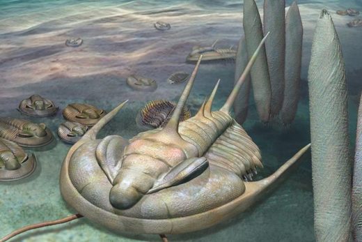 When Trilobites Ruled the World