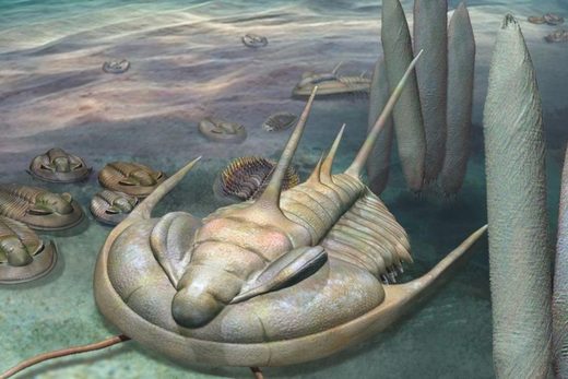 Click to enlarge When Trilobites Ruled the World