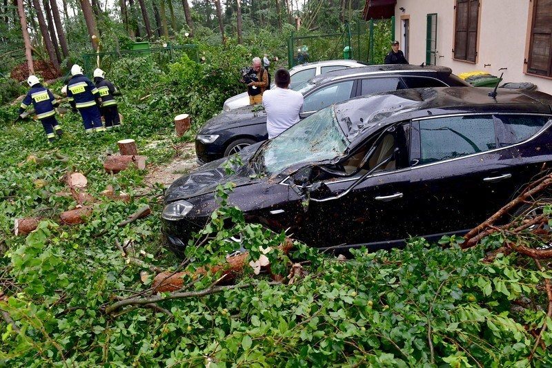Firefighters clean uprooted trees which were destroyed by a recent storm in Zlocieniec, north-western Poland. The heavy storms passed over north-western Poland in the night from 15 to 16 June.