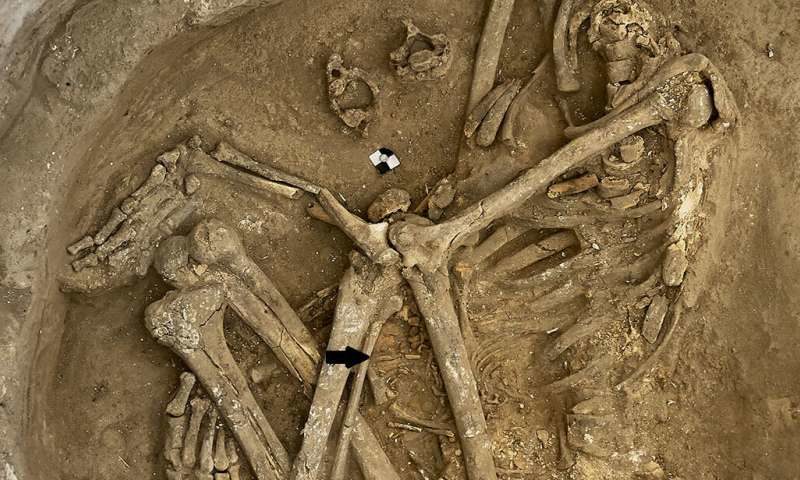 Çatalhöyük