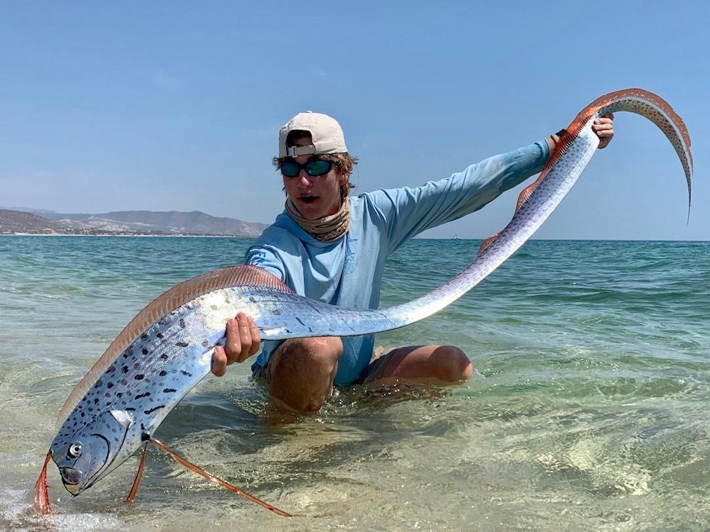 oarfish