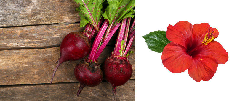 Beetroot and Hibiscus