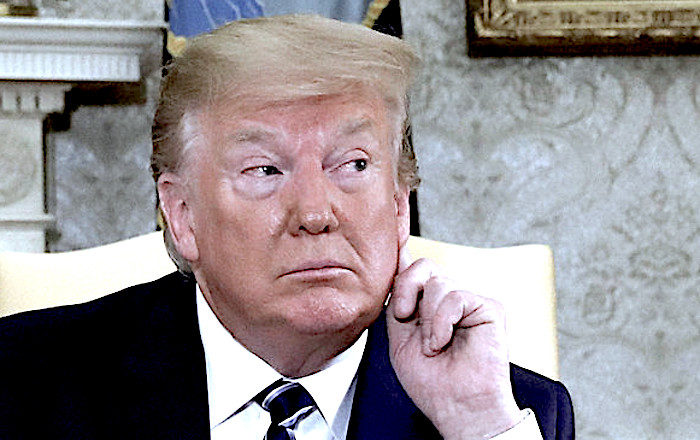 Click to enlarge TrumpEar