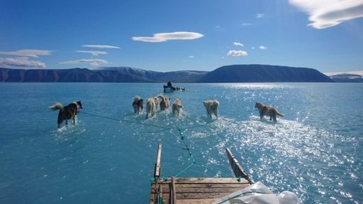 Climate scientist Steffen Olsen took this picture while travelling across melted sea ice in north-west Greenland