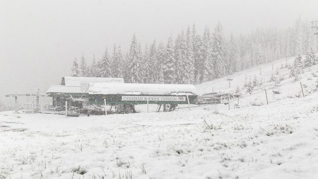 Marmot Basin on June 20, 2019.