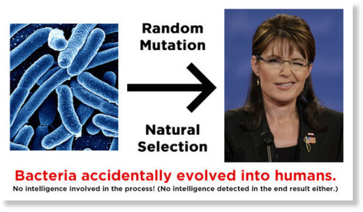 Whenever you have to choose between accident and intelligence, you should always pick accident.