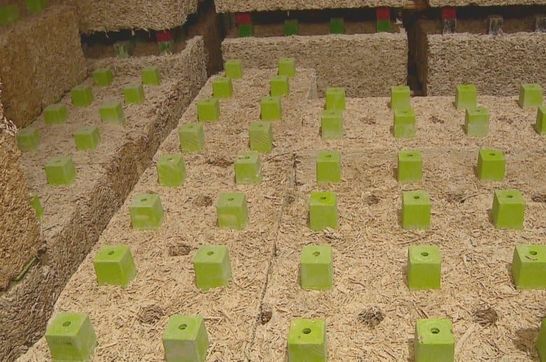 Click to enlarge BioFiber blocks