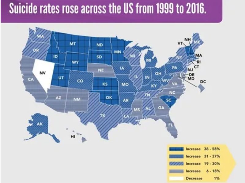 US suicide rates