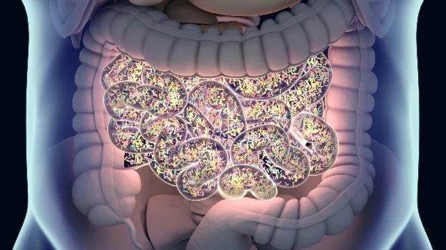 microbiome