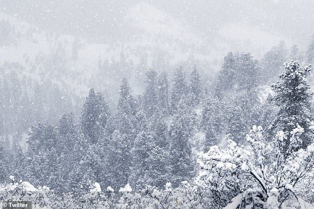 Colorado blasted with nearly two FEET of snow on first day of Summer