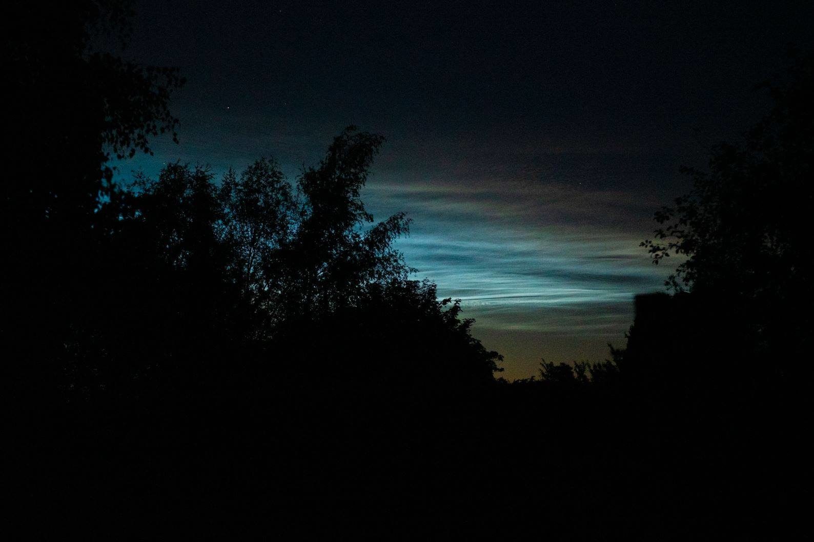 noctilucent cheshire