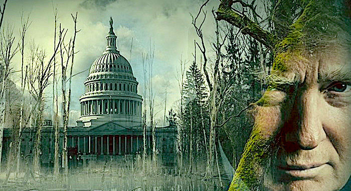 Click to enlarge Capitol,Trump,Swamp