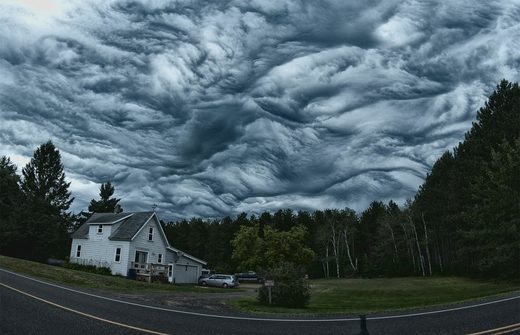 Click to enlarge Undulatus asperatus