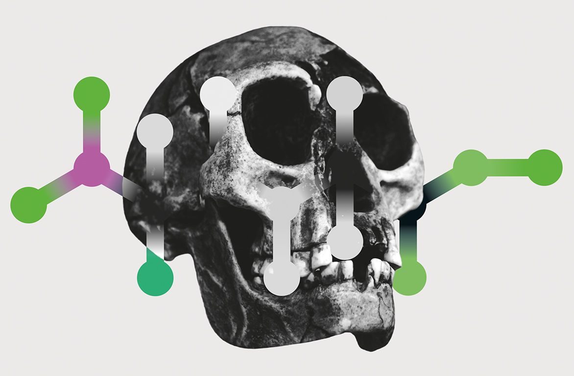Homo floresiensis