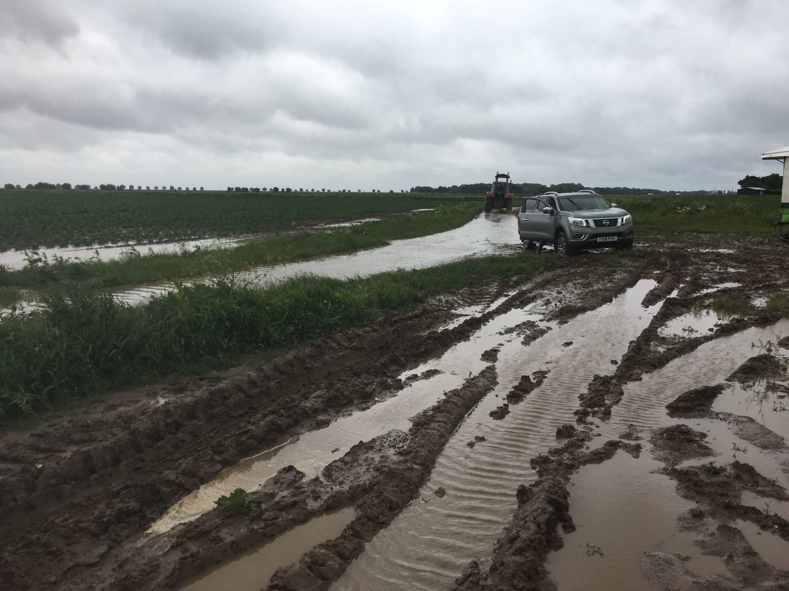 MUDDY