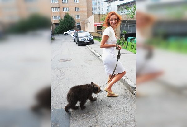 Click to enlarge Walking a bear