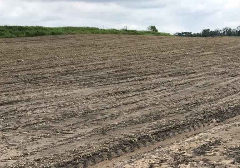 crop damage