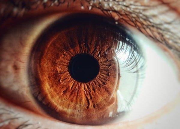 Click to enlarge eye microbiome