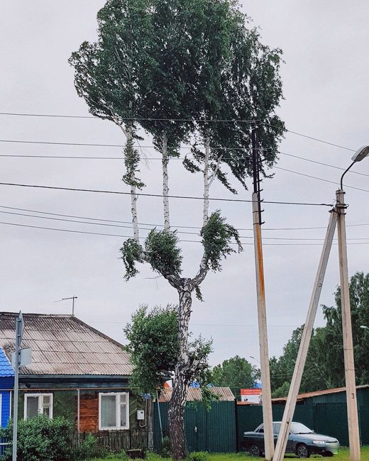 Click to enlarge Tyumen Oblast