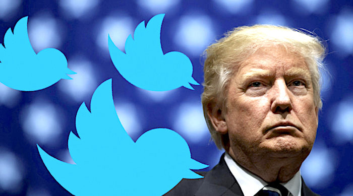 TrumpTweetbird