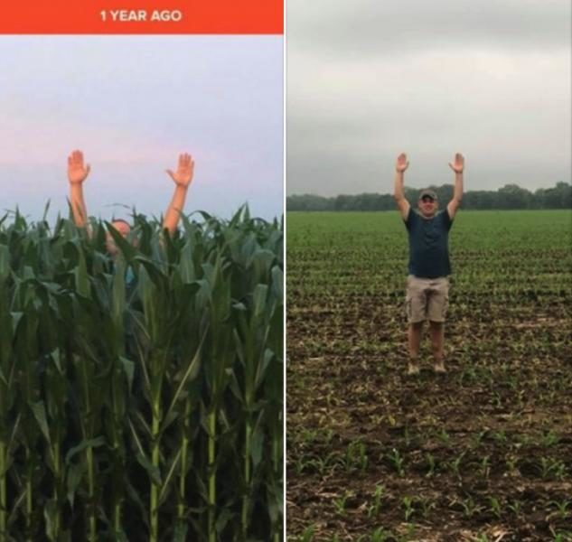 indiana corn crops 2018 and 2019