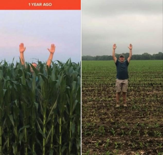indiana corn crops 2018 and 2019