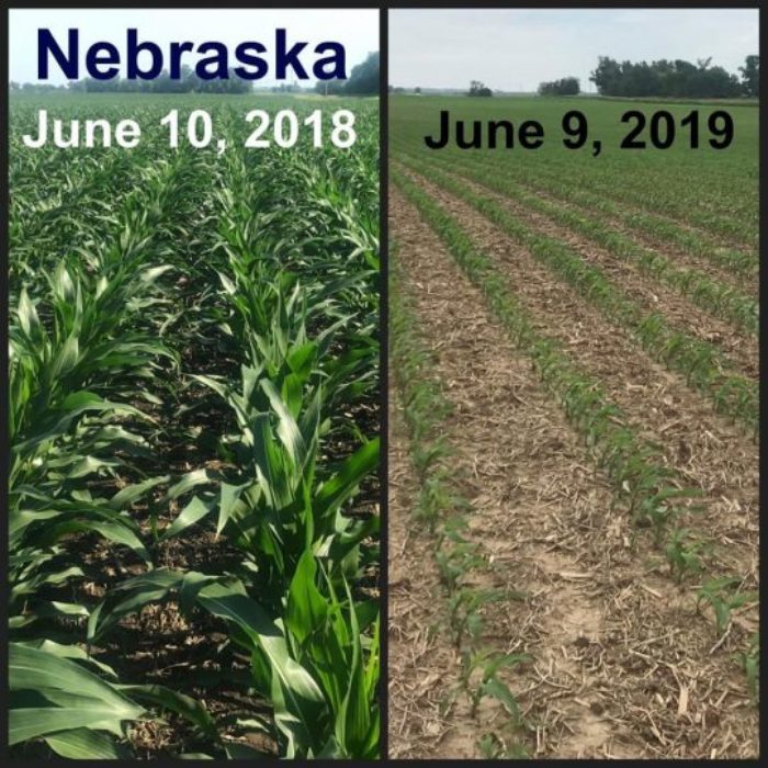 Nebraska crops 2018 and 2019