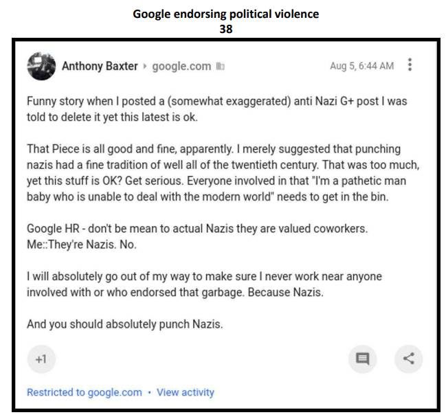 Click to enlarge antifa internal google memo