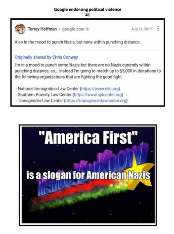 Click to enlarge antifa google internal memo