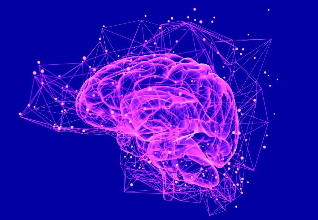 brains Produce DMT