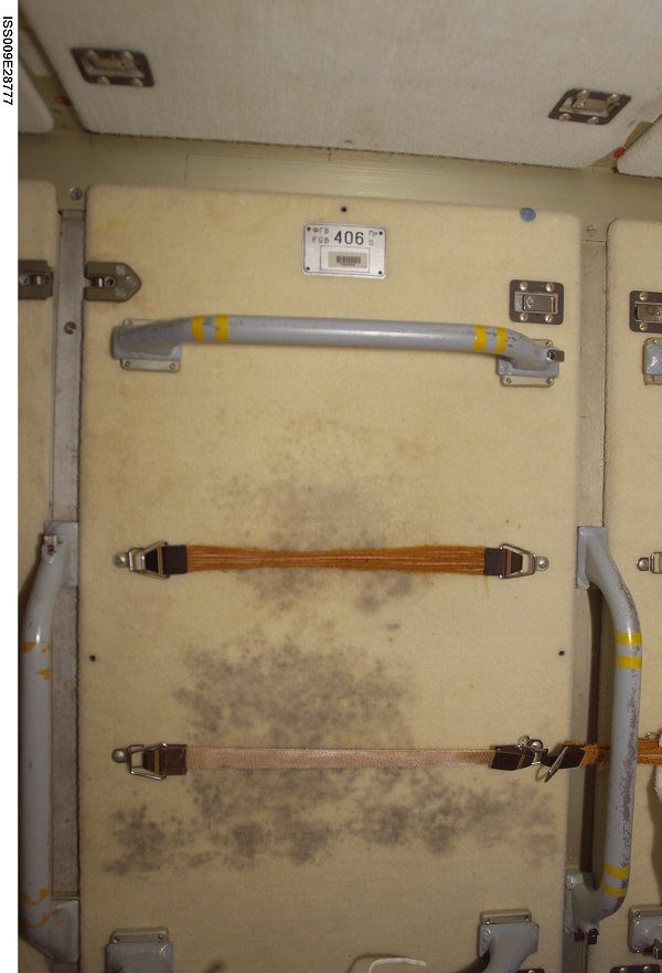 Mold growing on the International Space Station