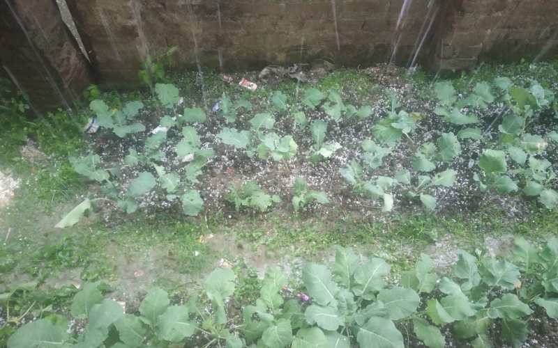hailstorm