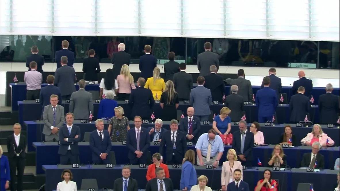 Nigel Farage Brexit party