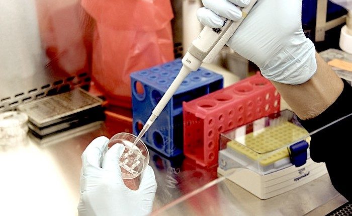 CRISPR thing