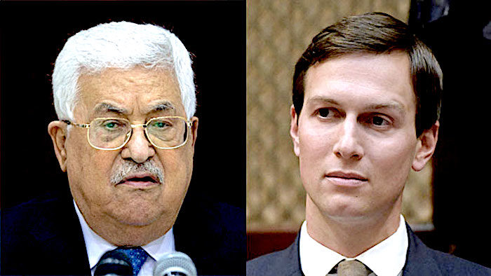 AbbasKushner