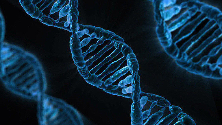 dna strands
