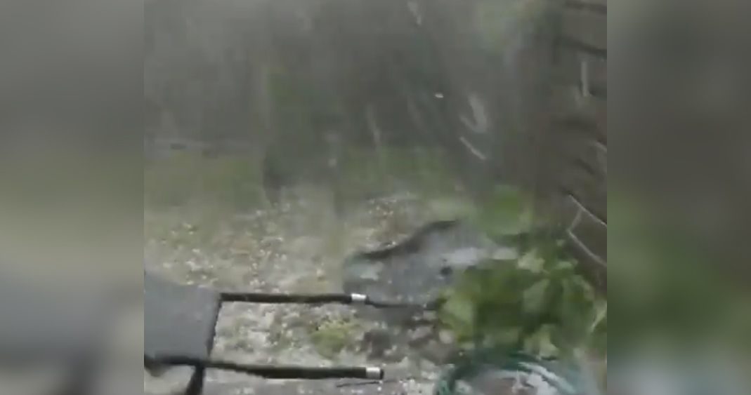 hail