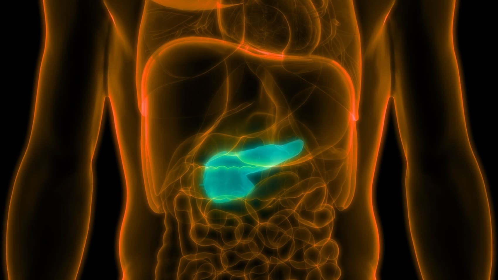 Pancreas
