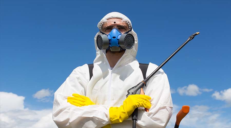 pesticides